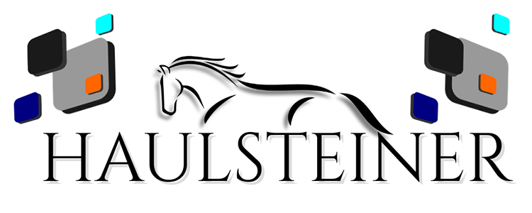 Haulsteiner South Africa logo
